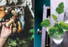 What Are Mouth Lesions? Symptoms, Causes, Diagnosis, Treatment, and Prevention