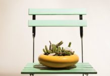 What Is Rectal Bleeding? Symptoms, Causes, Diagnosis, Treatment, and Prevention