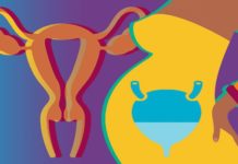 What Is a Urinary Tract Infection (UTI)? Symptoms, Causes, Diagnosis, Treatment, and Prevention