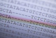 Genomic sequencing: Here's how researchers identify omicron and other COVID-19 variants