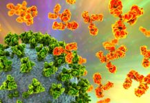 Figuring out omicron – here's what scientists are doing right now to understand the new coronavirus variant