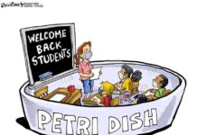 Why herd immunity may be impossible without vaccinating children against COVID-19