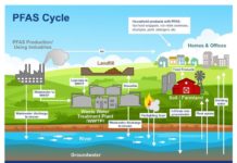 How chemicals like PFAS can increase your risk of severe COVID-19