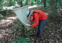 Lyme disease symptoms could be mistaken for COVID-19, with serious consequences