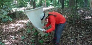 Lyme disease symptoms could be mistaken for COVID-19, with serious consequences