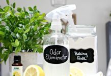 DIY Natural Odor-Eliminating Furniture Spray