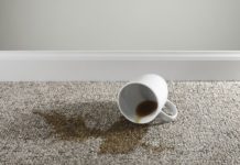 9 DIY Solutions for Common Carpet Stains