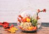 DIY Autumn Scene Terrarium