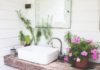 The 10 Best Bathroom-Friendly Plants