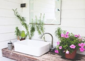 The 10 Best Bathroom-Friendly Plants