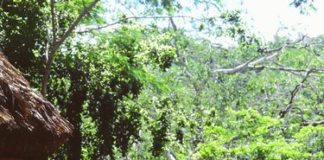 Maximum Distance Between a Breaker and a Hot Tub