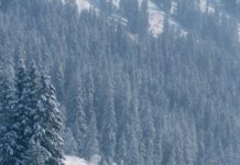 How to Strengthen Roof Rafters for Snow