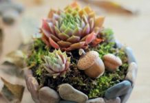 DIY Faux Stone Planter