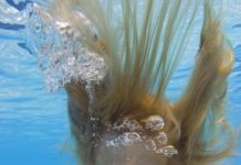 Do I Need to Use Sand If I Use a Gorilla Bottom Floor Padding?