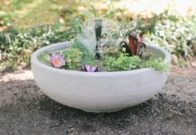 DIY Container Water Garden (Pond in a Pot)