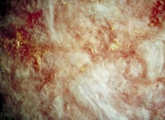 Is it Normal for Pink Batt Insulation to Turn Partially Gray?