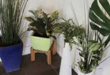 7 Easy Ways to Make Fake Plants Look Real
