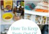 How to Keep Bugs Out of Your Pantry and Kitchen