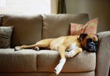 How to Clean Dura Fabric