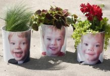 DIY Photo Planters