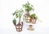 Upcycle Leather Belts Into Modern Plant Holders