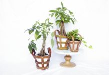 Upcycle Leather Belts Into Modern Plant Holders