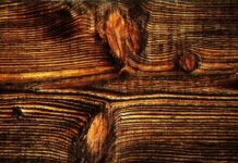 How to Identify a George Nakashima Table