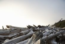How to Make a Driftwood Bed