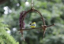 How to Make a Fairy or Bird Perch