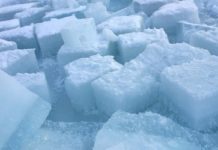 How to Build a Freezer Box