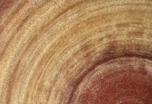 Do-it-Yourself Wood Toilet Seat