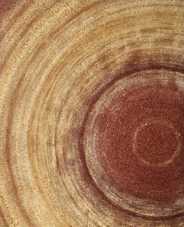 Do-it-Yourself Wood Toilet Seat