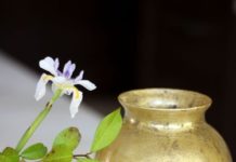 How to Make Beautiful Gold Mercury Glass