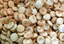 Why Do Crackers Get Soft When They Go Stale?