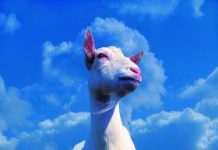 How Long Can You Leave Goat Milk Unrefrigerated?