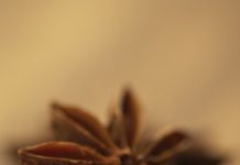 Does Sambuca Freeze?