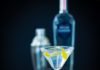 How to Make a Martini Straight Up