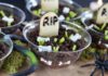 DIY Graveyard Pudding Cups