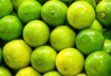 How to Make Lime Liqueur
