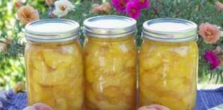 How to Preserve Peaches