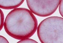 How to Keep Sliced Radishes Fresh