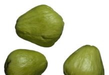 Can You Eat Chayote Squash Raw?