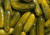Kosher Pickle vs. Polish Pickle