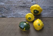 How to Cook Pattypan Squash