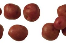 How to Bake Sliced Baby Potatoes