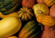 Roasted Frozen Squash