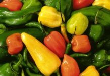 How to Pickle Peppers in the Refrigerator