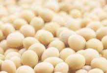 How to Hydrate Chickpeas