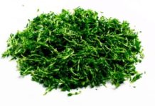 How to Dry Spinach at 170 Degrees