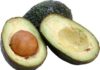 Parts of an Avocado
